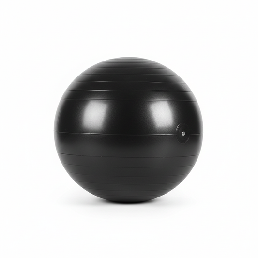 VPK Swiss/Gym/Exercise Ball